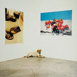 (Wolfgang Tillmans)(Lighter)