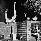 (Trent Parke)(Bedknobs and Broomsticks)