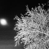 (Trent Parke)(Bedknobs and Broomsticks)
