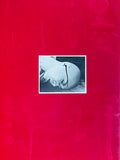 (Nobuyoshi Araki)(Bokuju kitan)