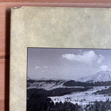(David Sylvian)(Perspectives)(Polaroids 82-84)