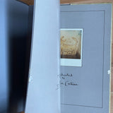 (David Sylvian)(Perspectives)(Polaroids 82-84)