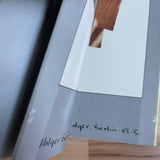 (David Sylvian)(Perspectives)(Polaroids 82-84)