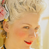 (Marie Antoinette Film Visual Book)