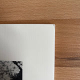 (Mark Borthwick)(Polaroids)