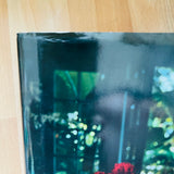 (Paul Jasmin)(Lost Angeles)