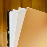 (Paul Jasmin)(Lost Angeles)