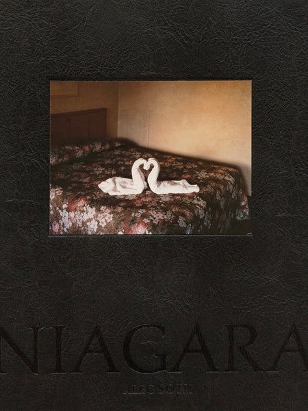 (Alec Soth)(Niagara)(1st edition)