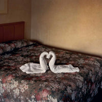(Alec Soth)(Niagara)(1st edition)