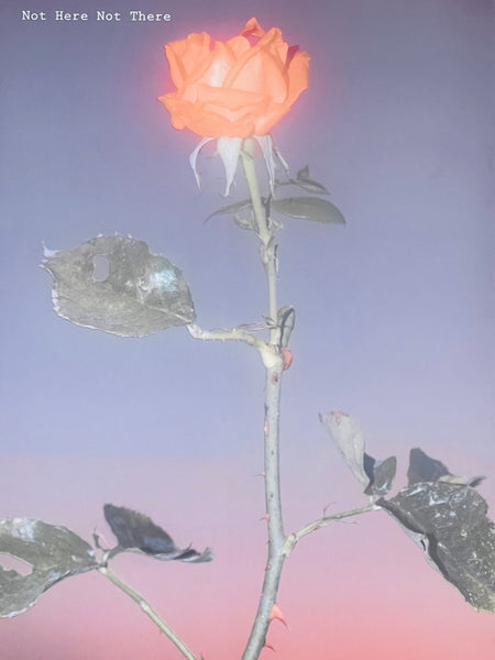 (Charbel Alkhoury)(Not Here Not There)