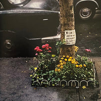 (Evelyn Hofer)(New York)