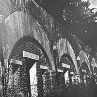 (Kenji Higuchi)(Photo Document Island of Poison-Gas)