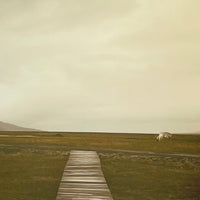 (Gueorgui Pinkhassov)(Nordmeer)