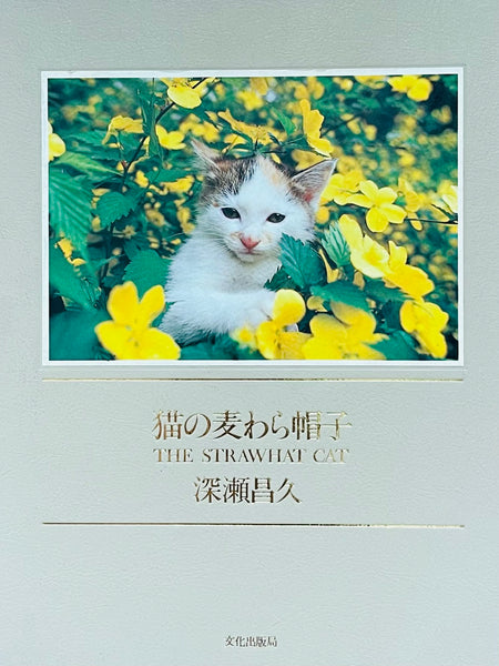 (Masahisa Fukase)(The Strawhat Cat)
