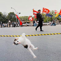 (Masahisa Fukase)(The Strawhat Cat)