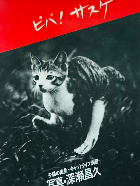 (Masahisa Fukase)(Viva! Sasuke)