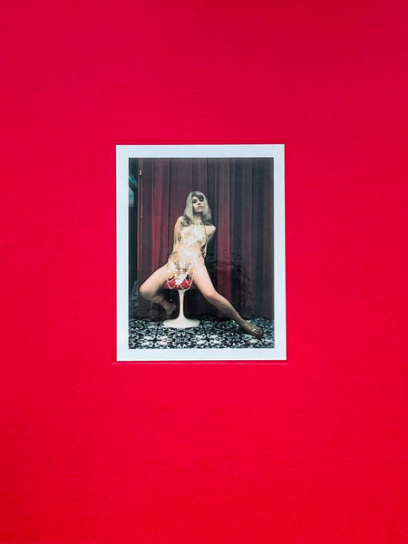 (Carlo Mollino)(Polaroids)