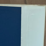 (Shoji Otake)(Family Nude)