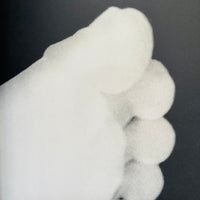 (Kazuo Kenmochi)(Photographic Document The Tiniest Life)