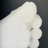 (Kazuo Kenmochi)(Photographic Document The Tiniest Life)
