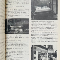 (Mitsuhiro Takemura)(New York Culture Map)