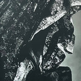 (Yuriko Takagi)(In and Out of Mode)