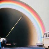 (Roger Steffens)(The Family Acid: California)