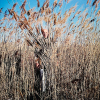 (Karoline Hjorth and Riitta Ikonen)(Eyes as Big as Plates)
