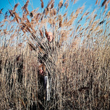 (Karoline Hjorth and Riitta Ikonen)(Eyes as Big as Plates)