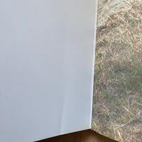 (Jacques Bourboulon)(Galphy Series 7)