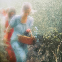 (David Hamilton)(Les Contes Erotiques)