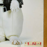 (Namennayo Dai Shashinkan)(Sorry Cats)
