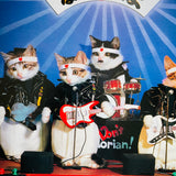 (Namennayo Dai Shashinkan)(Sorry Cats)