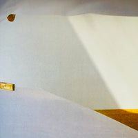 (Kazuhiko Ota)(Alternative Advertising for Shiseido)