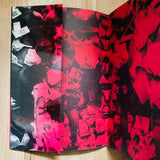 (Satomi Nihongi)(Punk Rock In London)(Documentary 1977-1979)