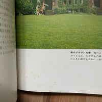 (Teruyashi Hayashida)(Take Ivy)