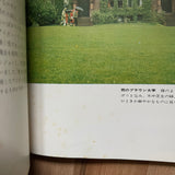 (Teruyashi Hayashida)(Take Ivy)