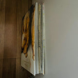 (Yoshikatsu Fujii)(Hiroshima Graph : Rabbits abandon their children)