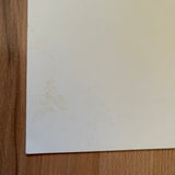 (Takashi Homma)(Tokyo Willie)