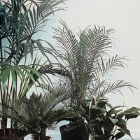 (Mark Borthwick)(2000-1  MAISON MARTIN MARGIELA BY)