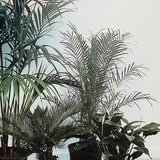 (Mark Borthwick)(2000-1  MAISON MARTIN MARGIELA BY)