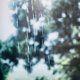 (Rinko Kawauchi)(the eyes,the ears,)
