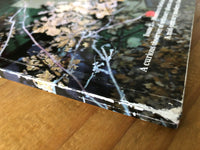 (The Plant Journal - Issue 2 Monstera Deliciosa)
