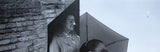(Ed Templeton)(Umbrella - A Typological Survey)
