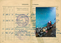 (Kirill Golovchenko)(ARBEITSBUCH)
