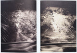 (Bert Teunissen)(On the Road, Everglades)