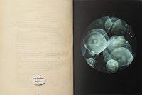 (Mandy Barker)(Beyond Drifting: Imperfectly Known Animals)