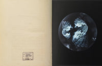 (Mandy Barker)(Beyond Drifting: Imperfectly Known Animals)