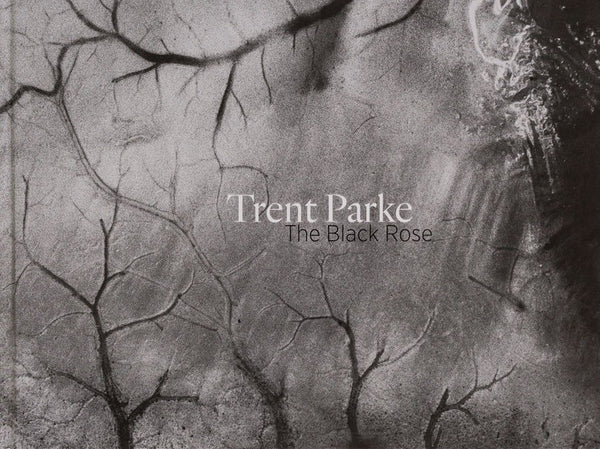 (Trent Parke)(The Black Rose)