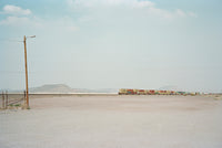 (Thilde Jensen)(The Canaries)